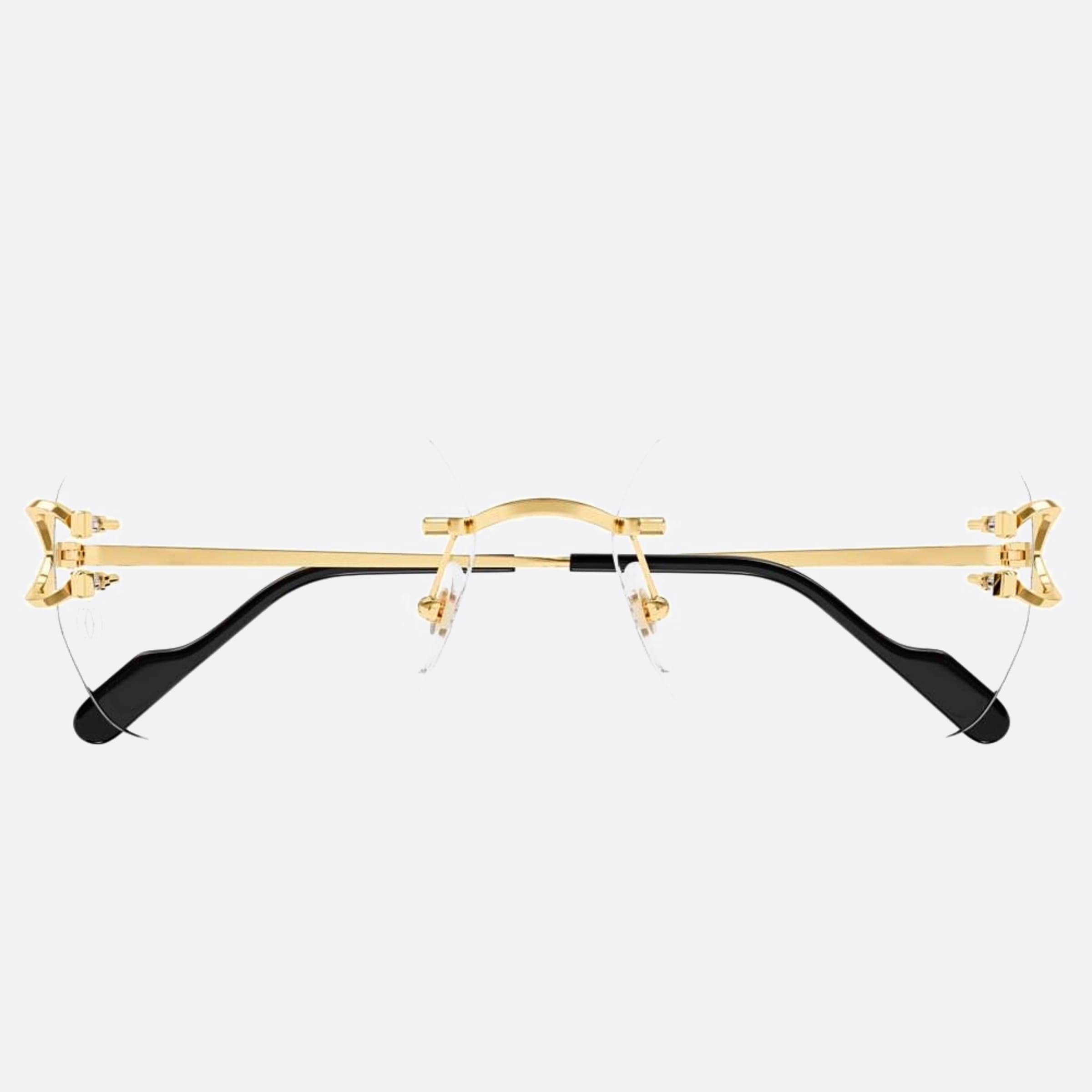 Lunettes Premium Homme