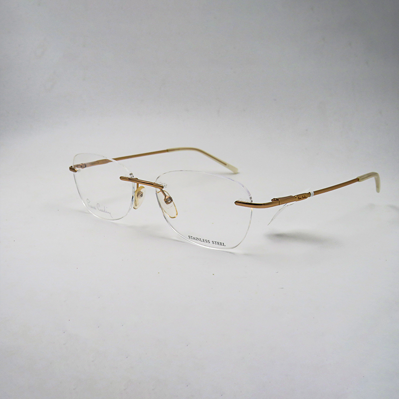 Lunettes Premium Homme